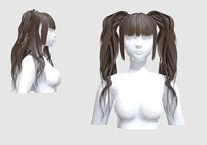 Bangs Ponytails Hair 3D