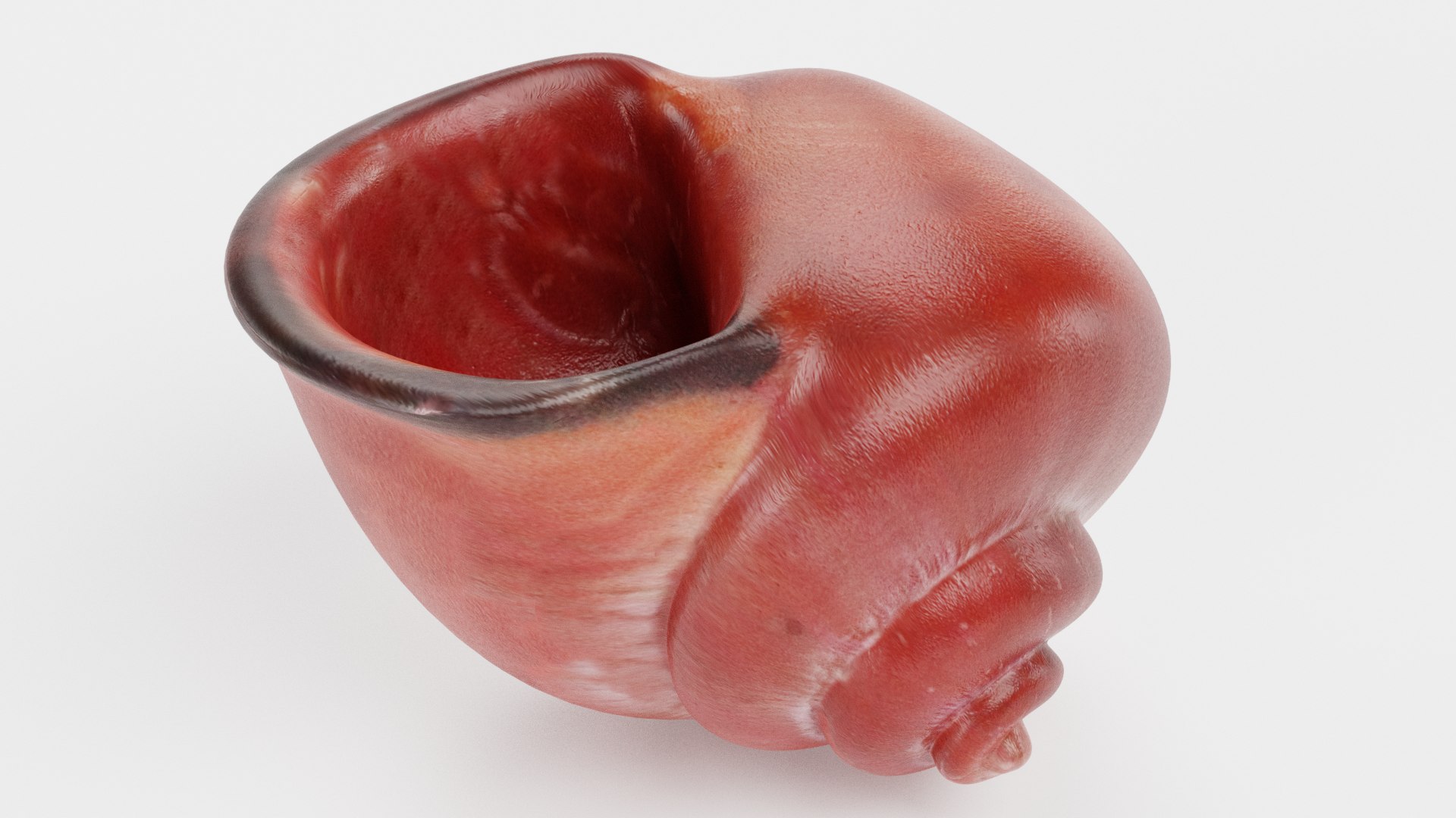 3D snail shell https://p.turbosquid.com/ts-thumb/GV/jiXLbO/juOeEPCp/snailshellg/png/1579273397/1920x1080/fit_q87/444343f084e9009306eb3970fed6377e61eedb90/snailshellg.jpg