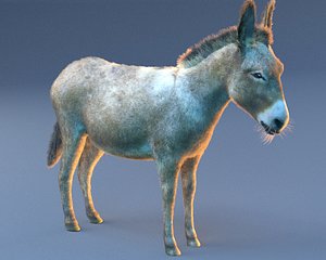 Donkey 3D Models for Download | TurboSquid