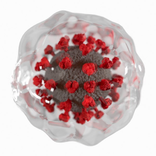 3D coronavirus enveloped virus model TurboSquid 1541566