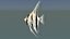 angel fish swimming 3d 3ds
