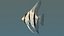 angel fish swimming 3d 3ds