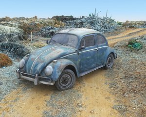3D Abandoned Car Wreck model