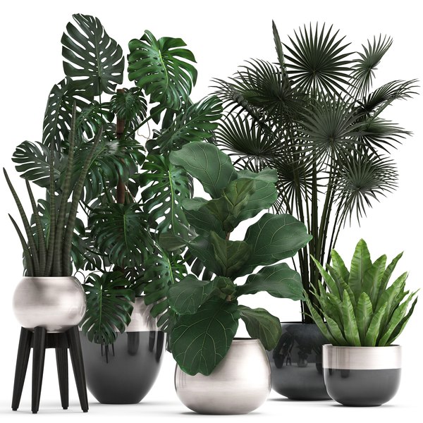 Ornamental plants exotic 3D - TurboSquid 1385444