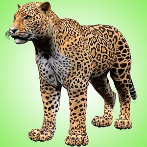 Leopard Rigged 3D model