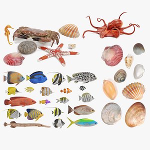 Sealife Collection 3D model