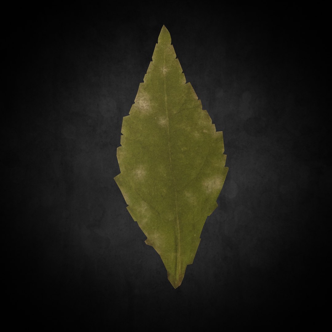 3D leaf https://p.turbosquid.com/ts-thumb/GW/HdBRuH/OBWq4iSf/004/png/1605996661/1920x1080/fit_q87/fcbf68adbed93086ad7eac1d1ea76703e10535ff/004.jpg