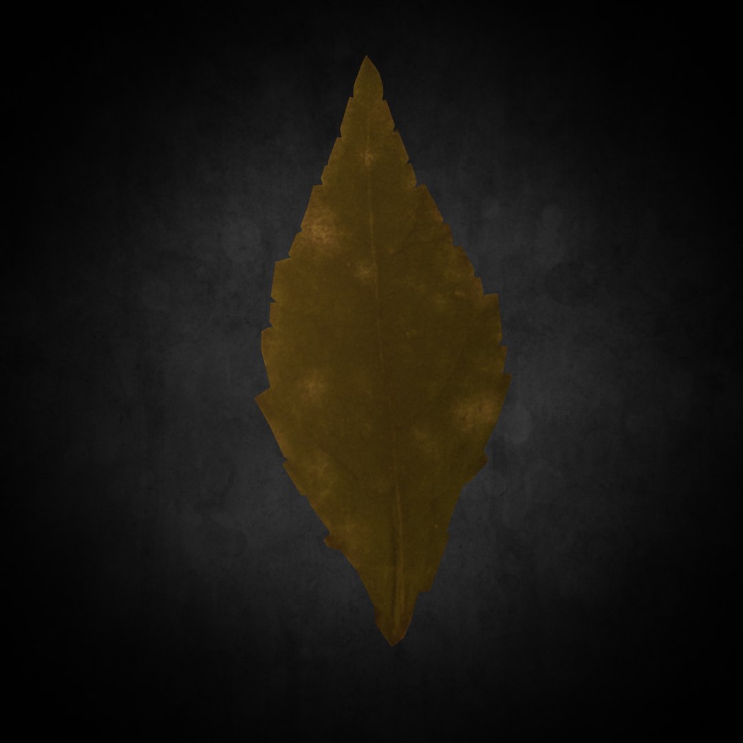 3D leaf https://p.turbosquid.com/ts-thumb/GW/HdBRuH/SMbFqH7p/002/png/1605996661/1920x1080/fit_q87/61a3006e55e336ea163c0de760dd86b2e0e48f56/002.jpg