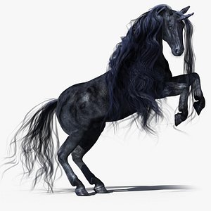 3D Unicorn Rigged Black Horse model