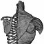 Menschliche Torso-Anatomie