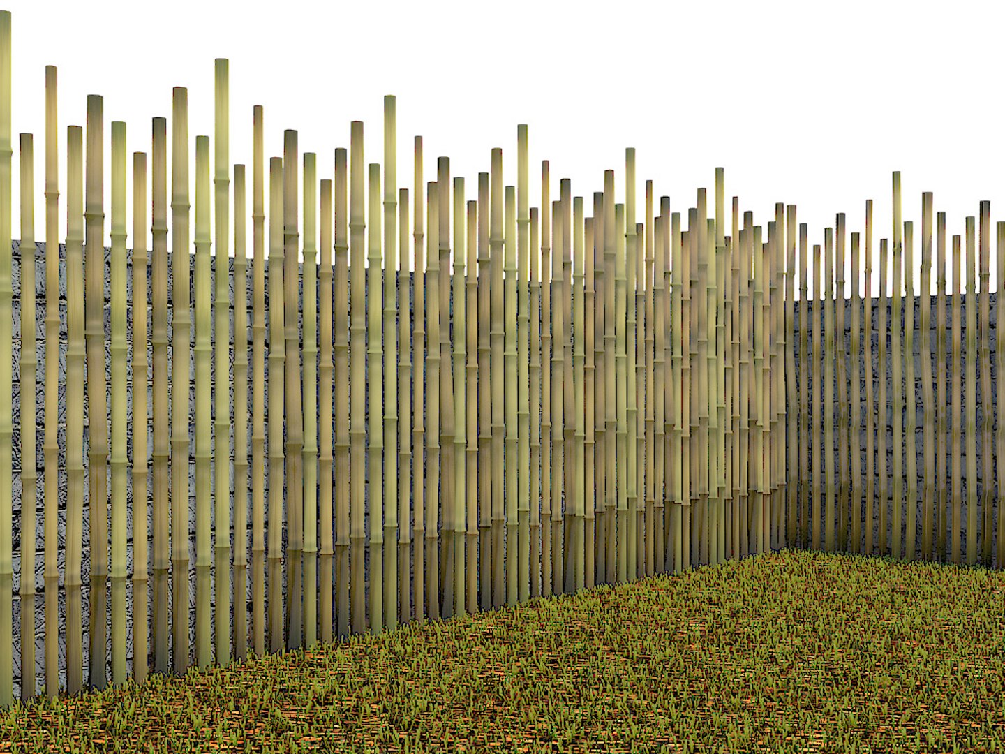 Bamboo fencing -  France