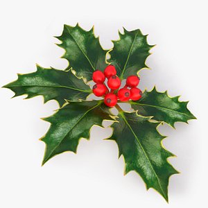holly branch 3d max