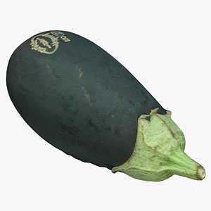 Eggplant 01