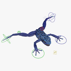 3d model poison dart frog blue