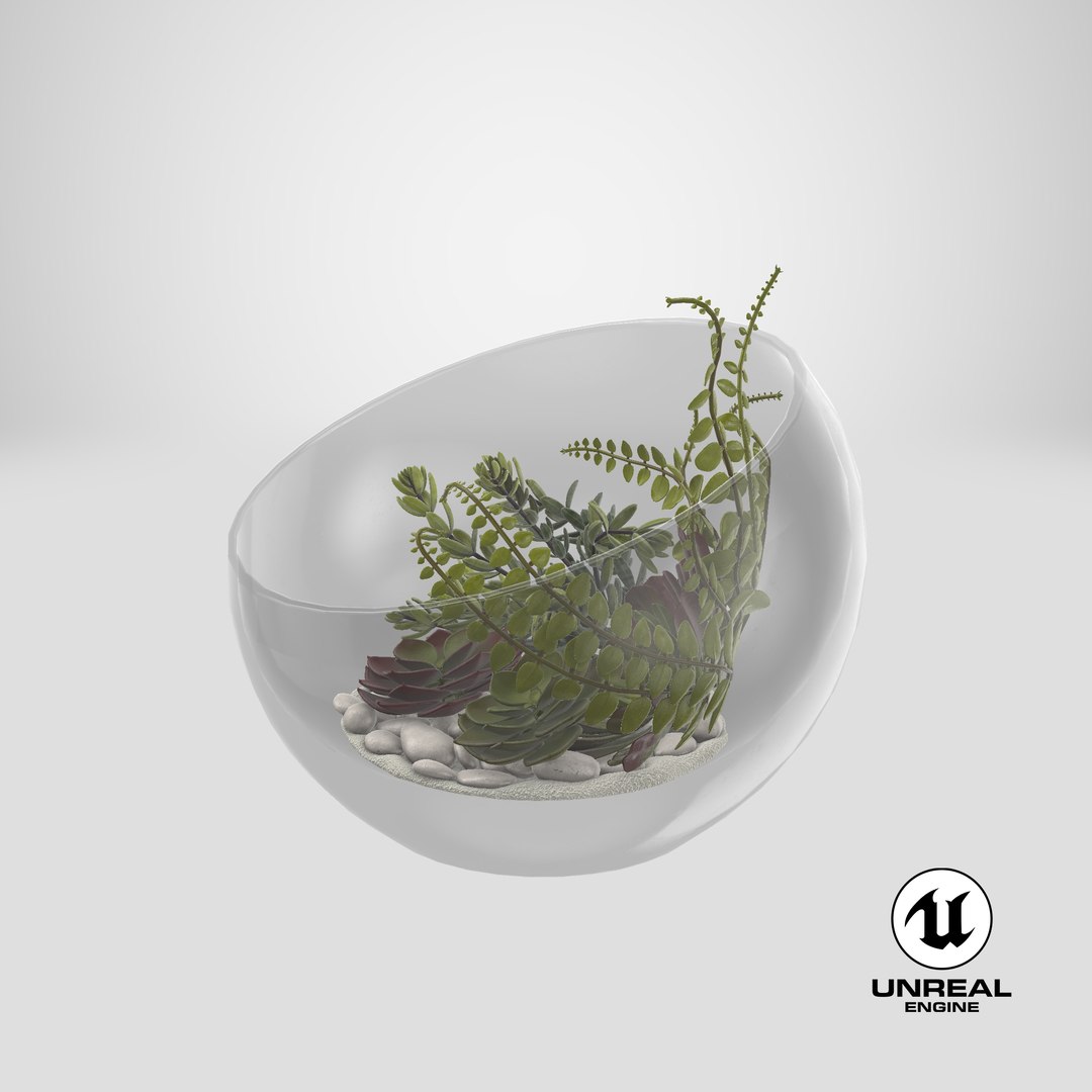 table terrarium 3D model https://p.turbosquid.com/ts-thumb/GX/HLcYmB/4w661Tsh/stemcell_unreal_render/png/1533259952/1920x1080/fit_q87/b2d423c58e28de72aa636c22035dc6bd37e82fd6/stemcell_unreal_render.jpg