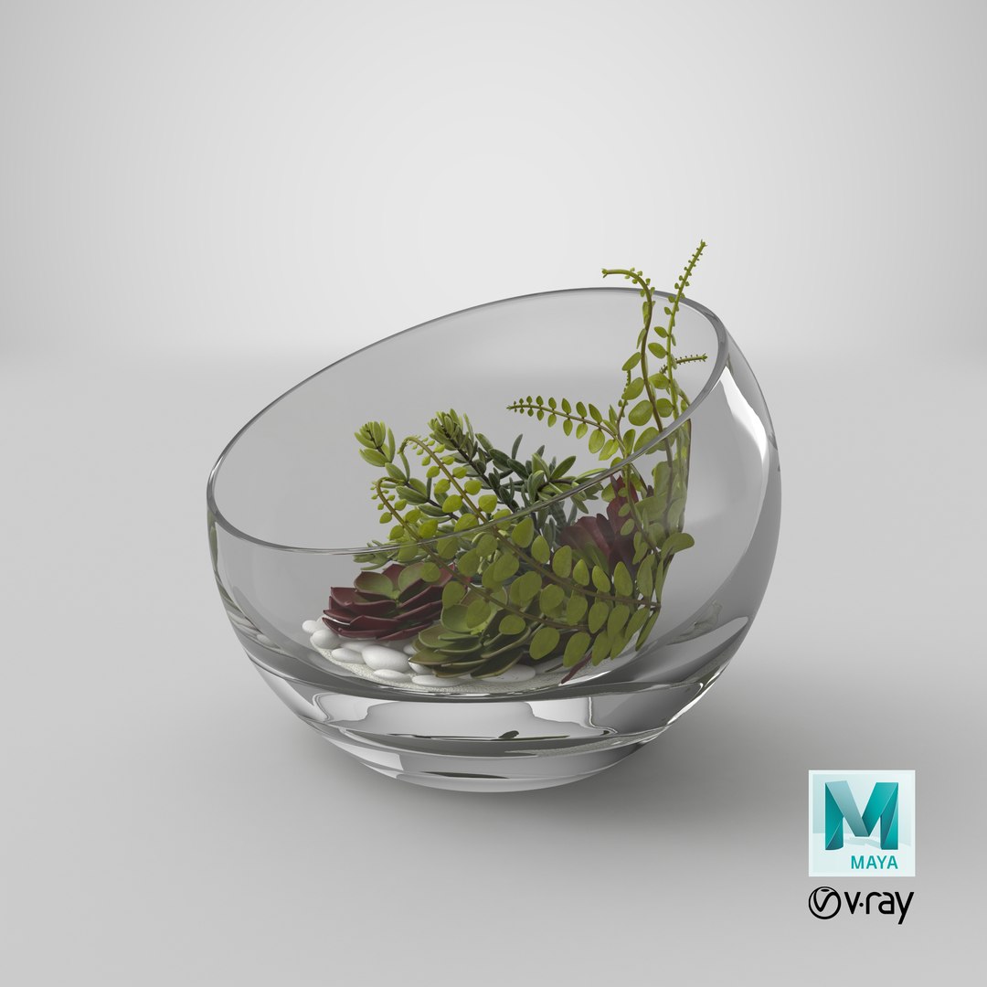table terrarium 3D model https://p.turbosquid.com/ts-thumb/GX/HLcYmB/6Pju9YB2/stemcell_maya_vray_render/png/1533259930/1920x1080/fit_q87/d60326cc7343ec1a6cc421838afe964e9a438102/stemcell_maya_vray_render.jpg