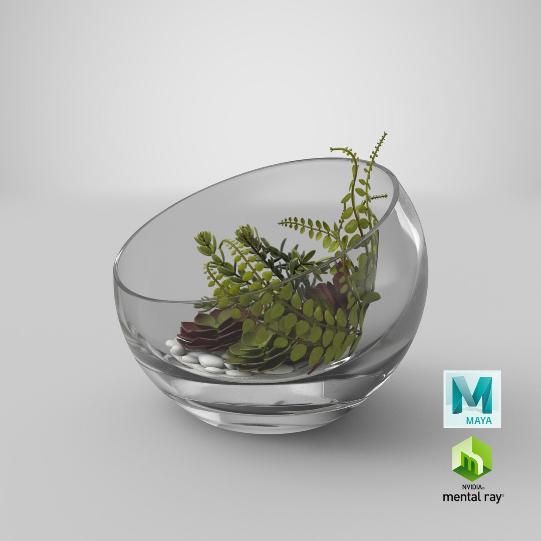 table terrarium 3D model https://p.turbosquid.com/ts-thumb/GX/HLcYmB/AHtv2U4i/stemcell_maya_mental_ray_render/png/1533259934/1920x1080/fit_q87/e4133084850ffe8c127a78e59fe20c06fd24bd23/stemcell_maya_mental_ray_render.jpg