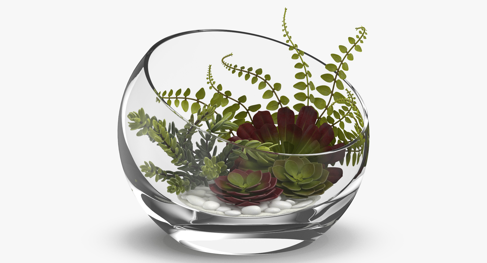 table terrarium 3D model https://p.turbosquid.com/ts-thumb/GX/HLcYmB/IxLSooGu/0000/jpg/1532958945/1920x1080/turn_fit_q99/7fda7321c45bbb634f9afd986f4a903e18725fd4/0000-1.jpg