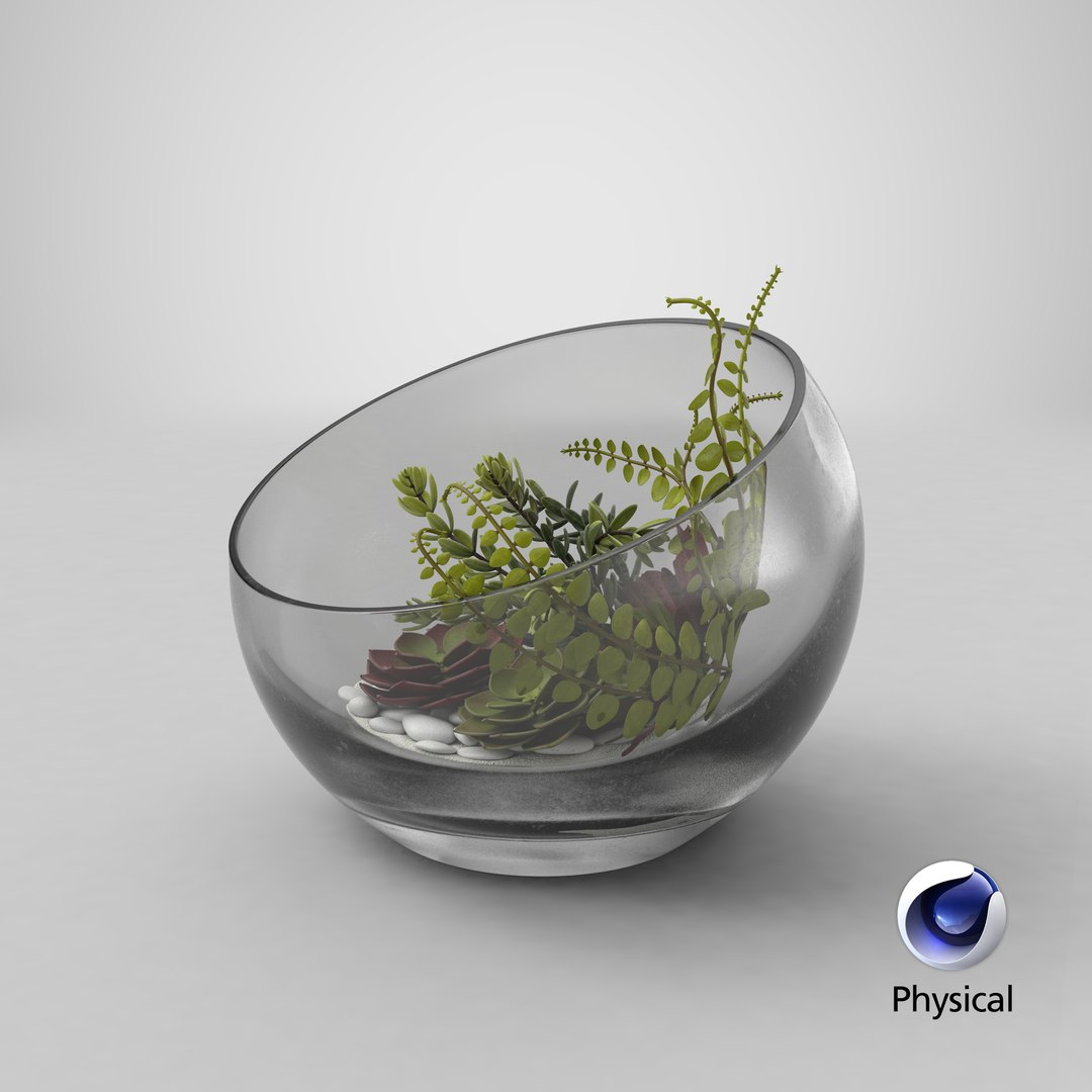 table terrarium 3D model https://p.turbosquid.com/ts-thumb/GX/HLcYmB/Ru5wTcWl/stemcell_cinema_4d_physical_render/png/1533259948/1920x1080/fit_q87/9e71afe27853517dd3f0cb6930c69ad29092b3ee/stemcell_cinema_4d_physical_render.jpg