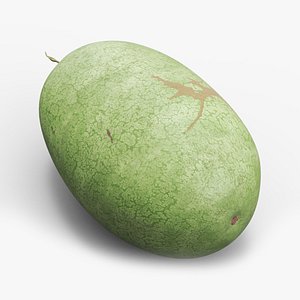 Charleston Gray Oblong Watermelon 3D model