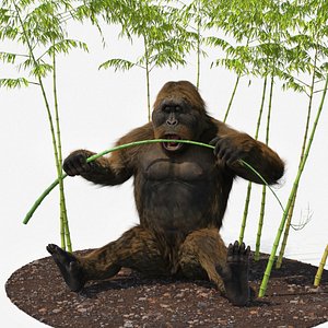 Gigantopithecus Eats Bamboo Plants Fur