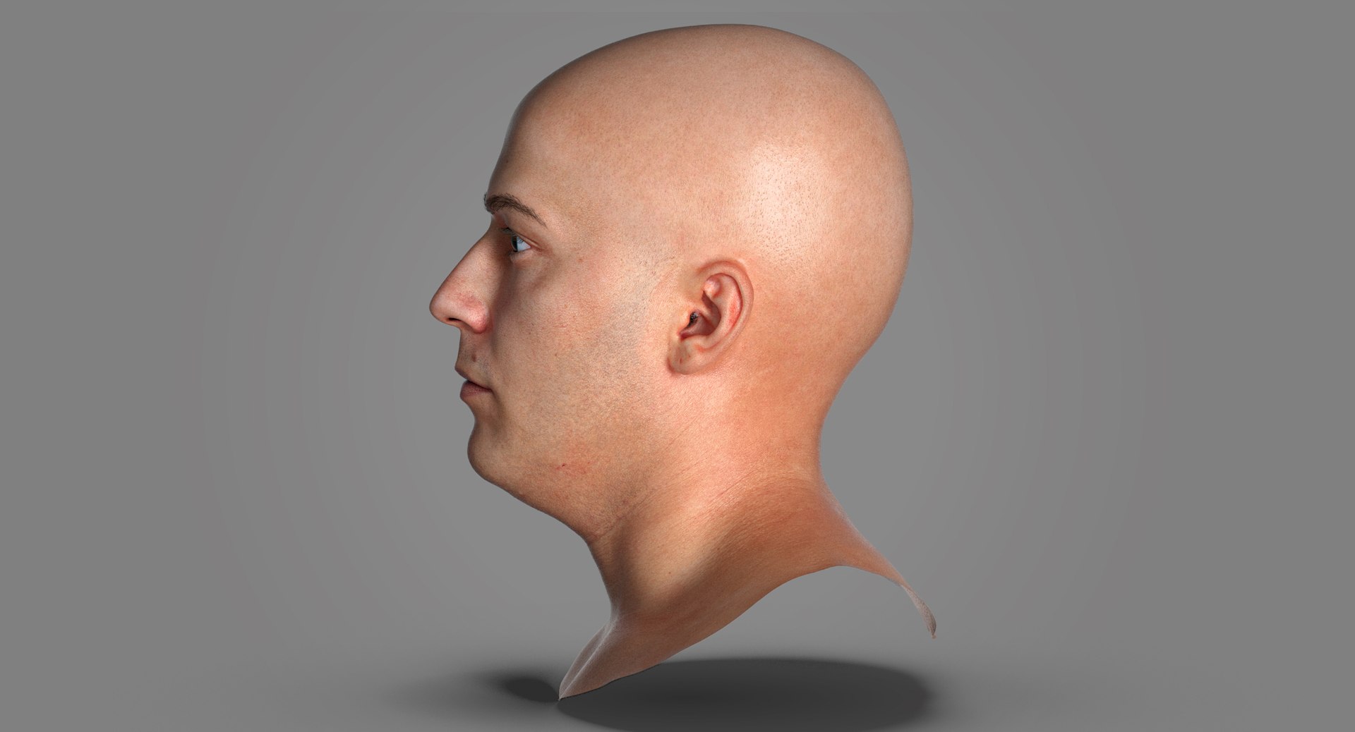 3D Pbr Marcus Real Human Head - TurboSquid 1634516