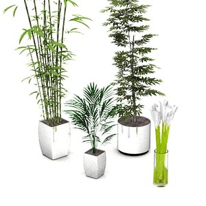 stylish potted plants 3d model