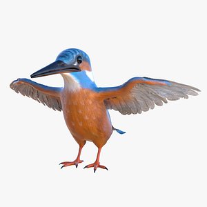 common kingfisher 3D model