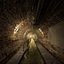 Sewer Module