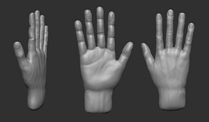 hand pose 3D model