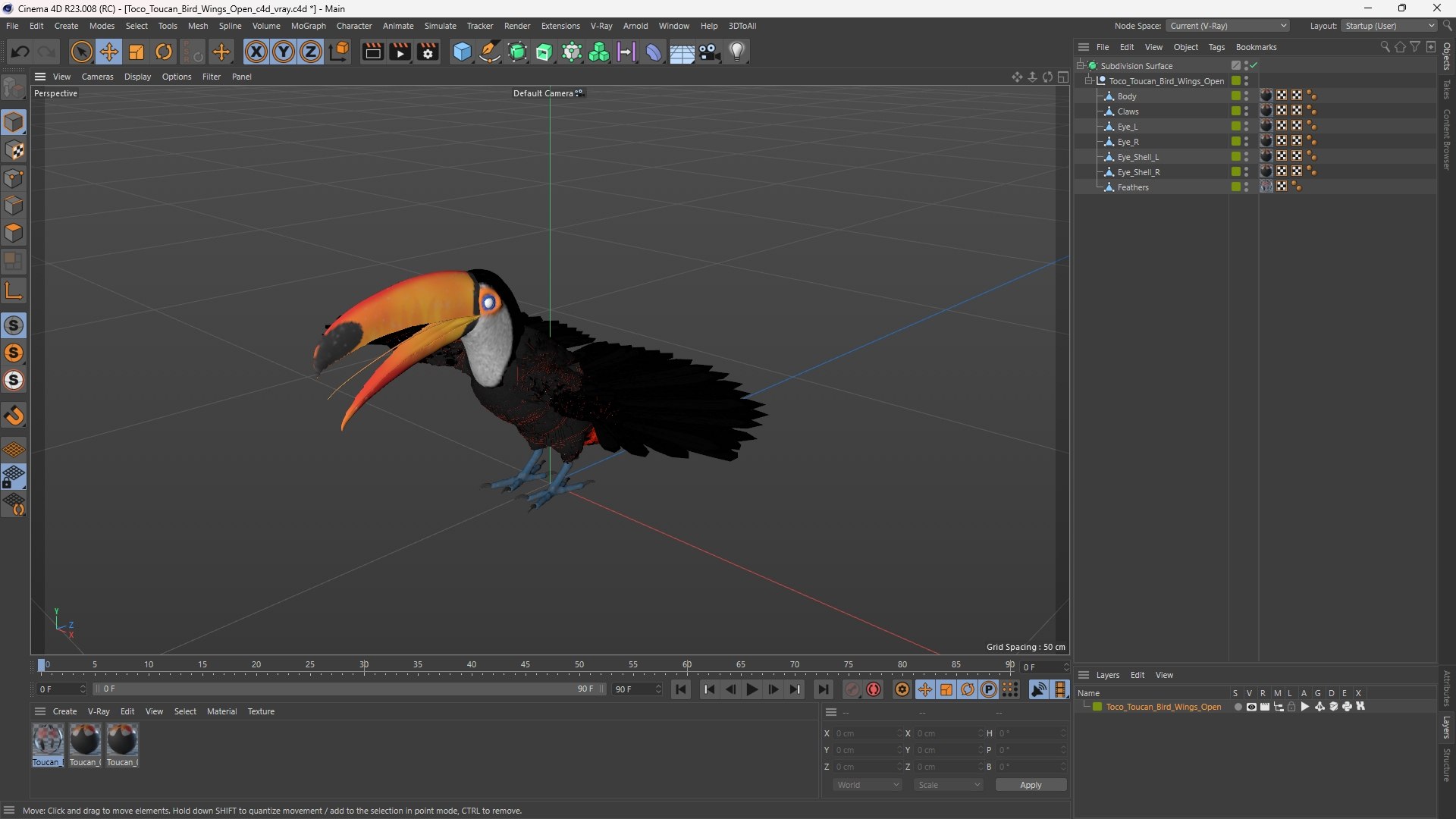 3D Toco Toucan Bird Wings Open model https://p.turbosquid.com/ts-thumb/GX/rgIzts/2q/toco_toucan_bird_wings_open_1003/jpg/1756840355/1920x1080/fit_q87/32d54117e62bdd7eef5f7c0635329765ff587ff2/toco_toucan_bird_wings_open_1003.jpg