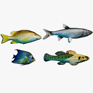 3D Fish collection low-poly