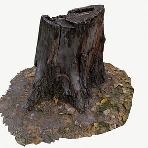 3D scan bpr tree stump