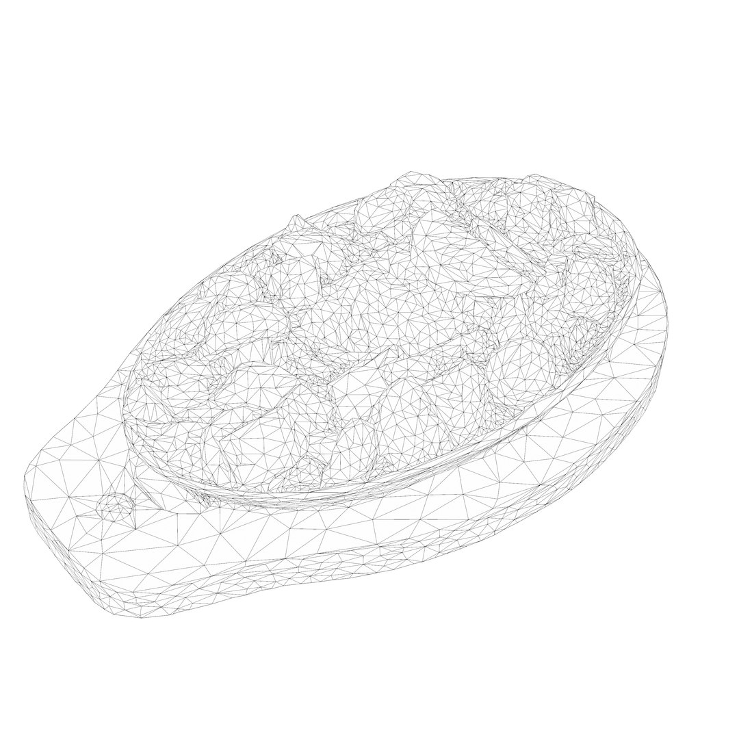 salmon seafood fish 3D https://p.turbosquid.com/ts-thumb/GY/EpoYrt/Q42Pj1N8/wire_00022/png/1594324271/1920x1080/fit_q87/848e7c85b2334fd642688d969b0517137b3b9f18/wire_00022.jpg