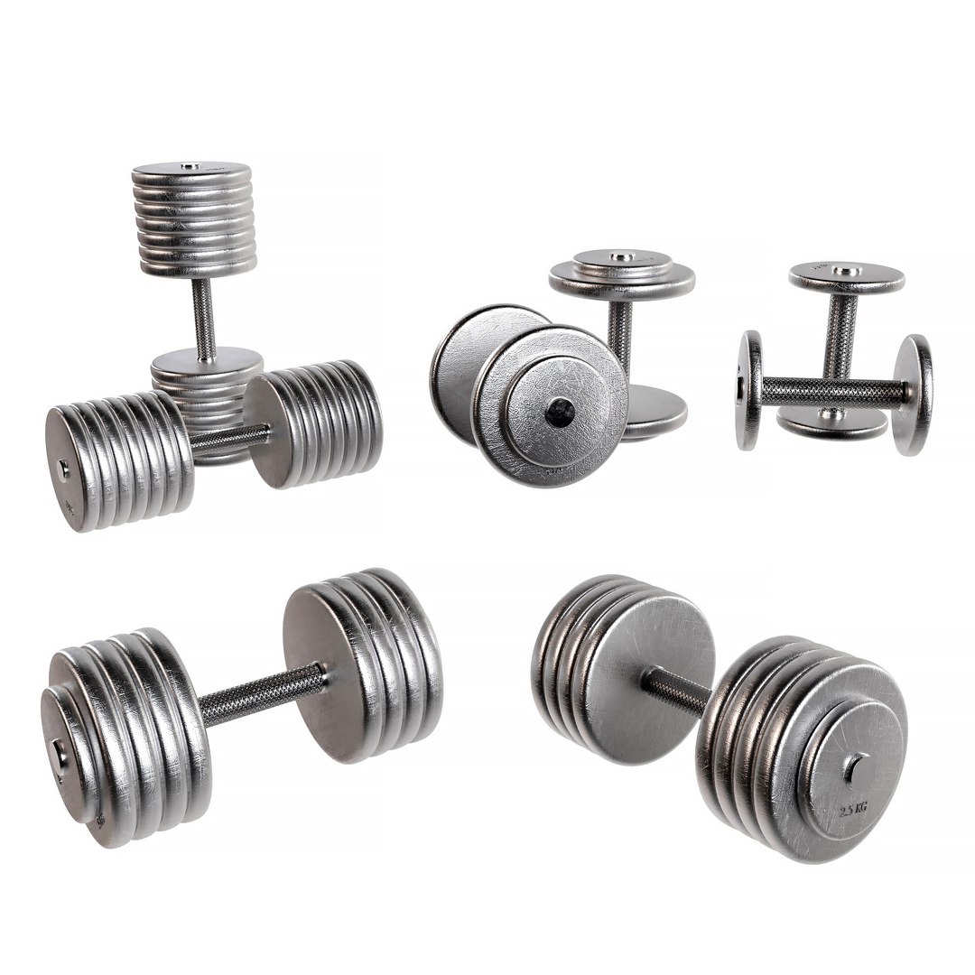 Set Of 20 Dumbbells From 5 To 100 Kg 3D - TurboSquid 2002933