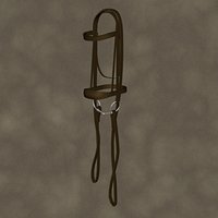 FE19BridleEngHanging
