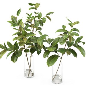 Magnolia Branch set 01