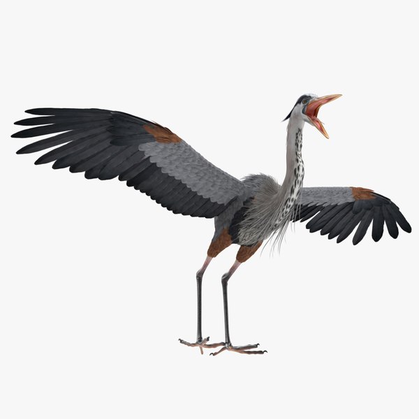 great blue heron rigged 3D