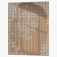 Panel Ernesto Che Guevara