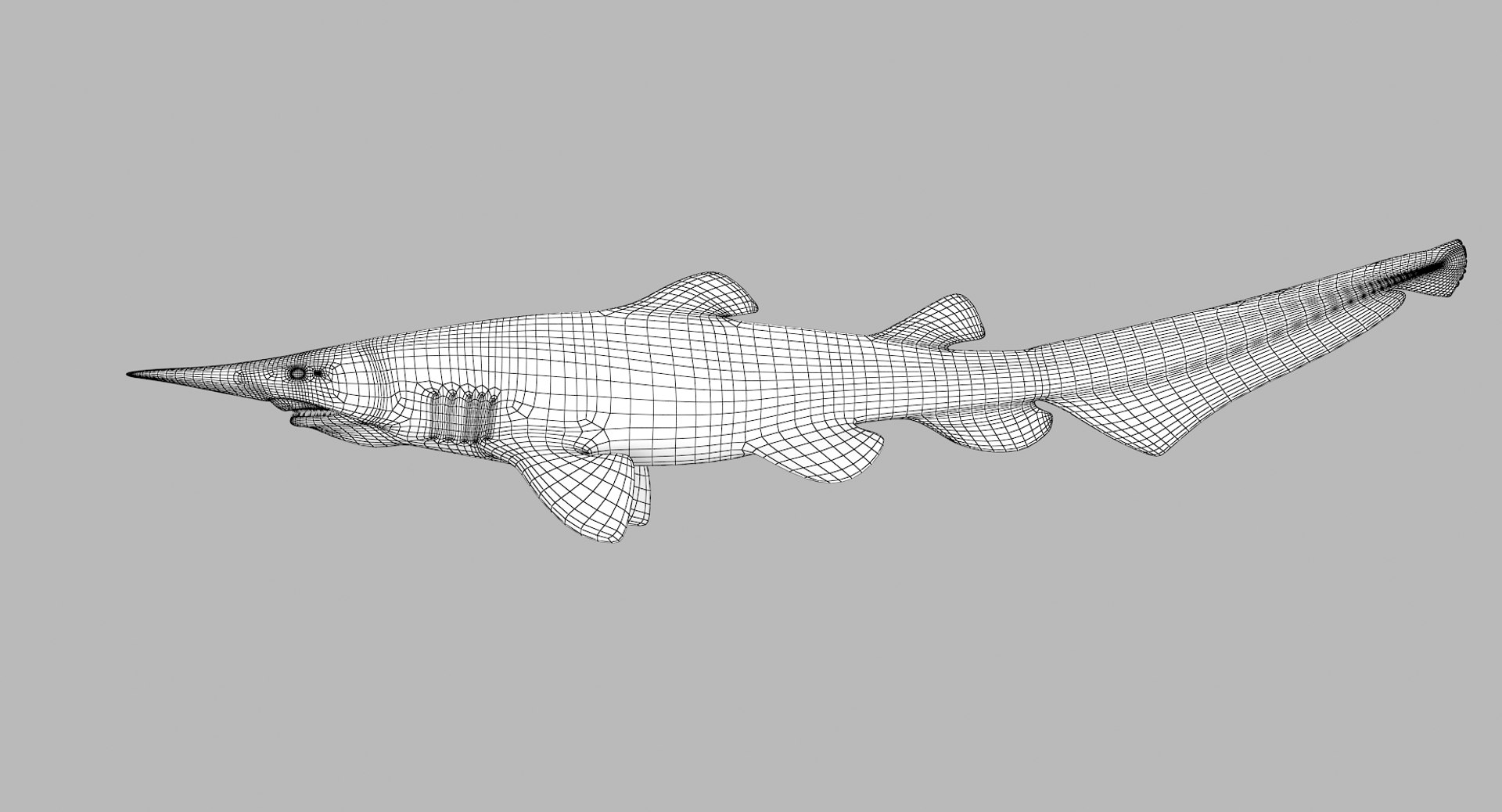 3D goblin shark model - TurboSquid 1417221