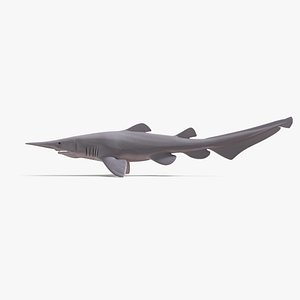 3D goblin shark model