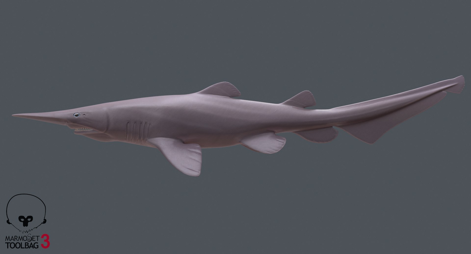 3D goblin shark model - TurboSquid 1417221