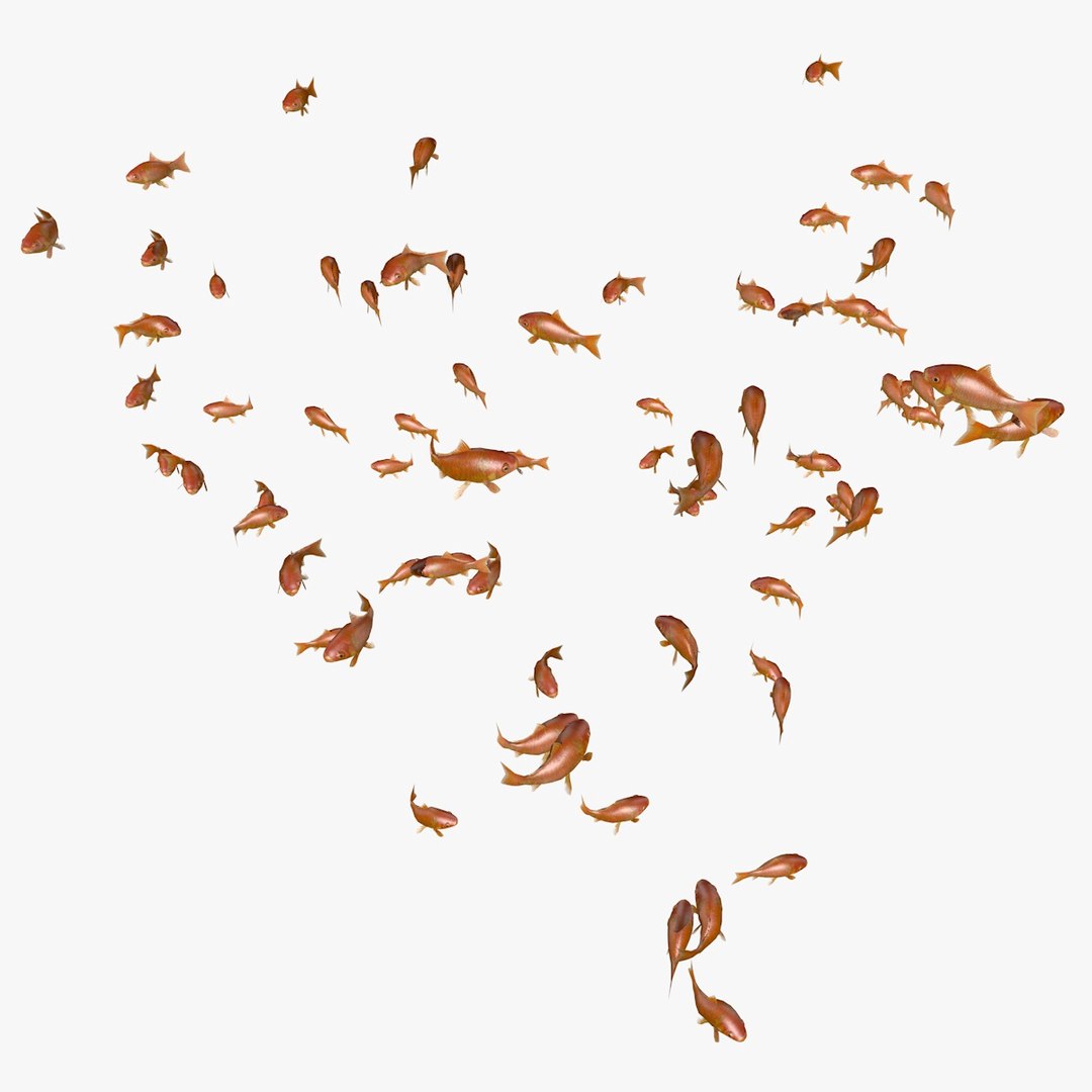 common goldfishes animation c4d https://p.turbosquid.com/ts-thumb/GY/ma7P7Z/WFvhufyZ/manygoldfishesswimming12/jpg/1461837417/1920x1080/fit_q87/3eebfda958b1b86bd6cb653293ef14d5e79cc4df/manygoldfishesswimming12.jpg