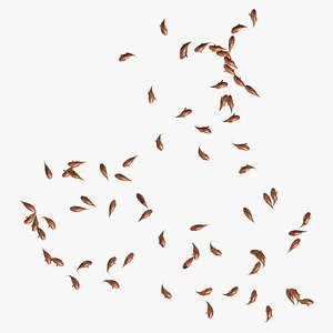 Many Goldfishes Animated