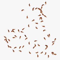 Many Goldfishes Animated