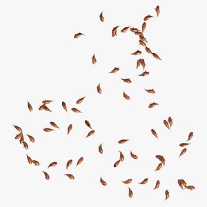 Many Goldfishes Animated