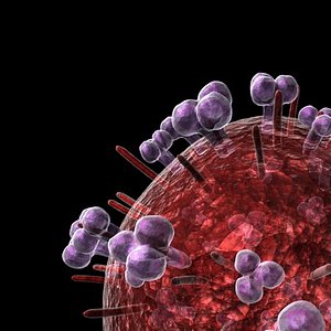 3d model virus hiv