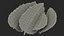 Bunch of Fresh Mint Leaves 3D model