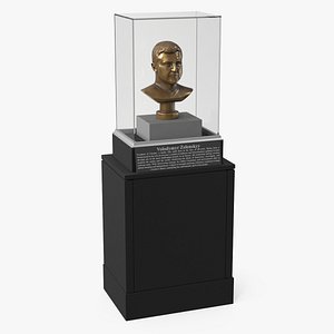 Bronze Bust of Zelensky in Display Case