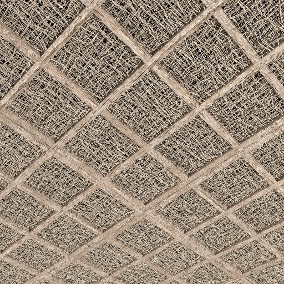ceiling branch decor model https://p.turbosquid.com/ts-thumb/GZ/Bhshlc/IFkS95ip/r4/jpg/1583598616/1920x1080/fit_q87/ddd28a9ec757ae286a7ca90f3c20f80e7e01f7e5/r4.jpg